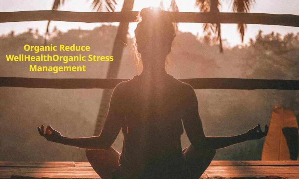 wellhealthorganic stress management

